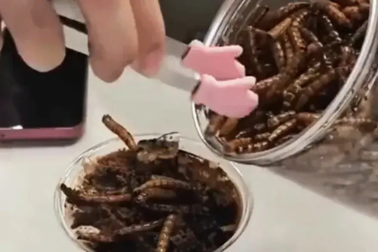 ناشطون يسخرون من الصين بسبب قهوة الصراصير