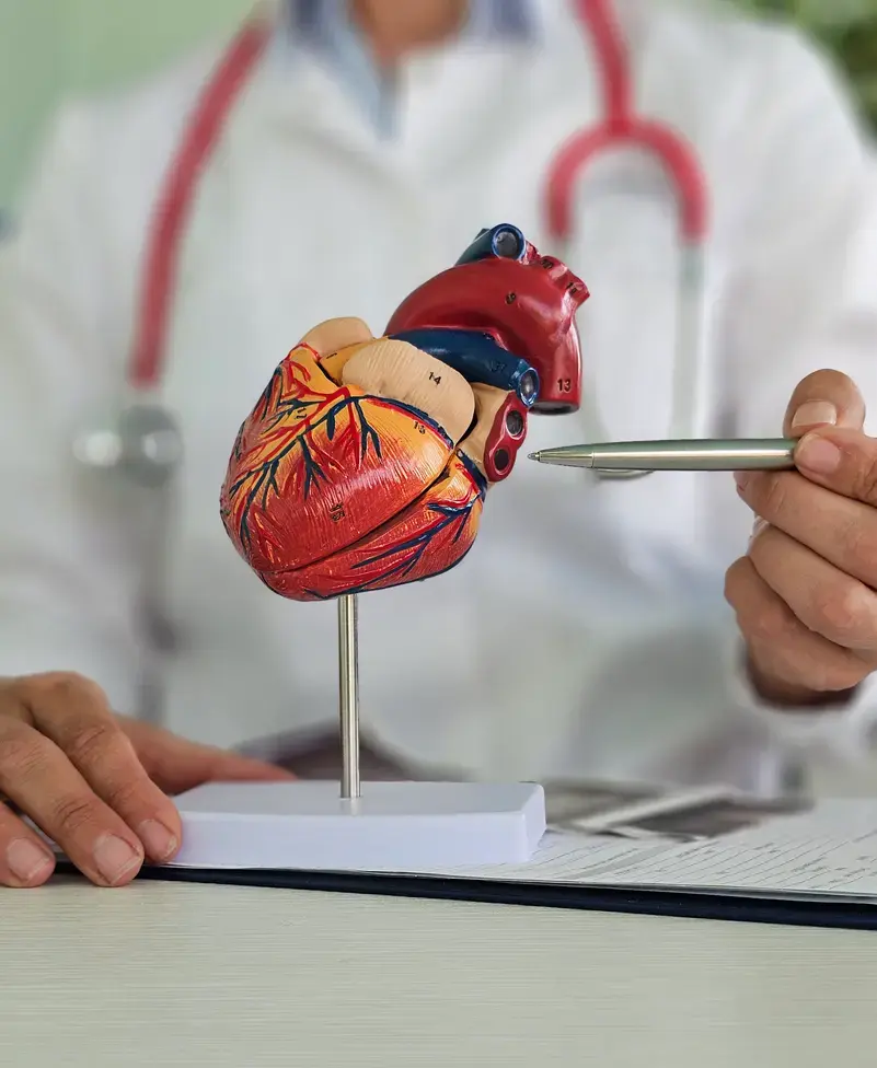 جلطات القلب والموت المفاجئ تقتحم حياة الشباب في العشرينات